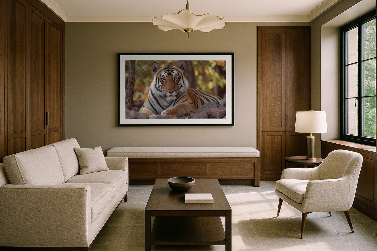Tiger of Ranthambore wall art print, framed with a white border, in a forest arched windows