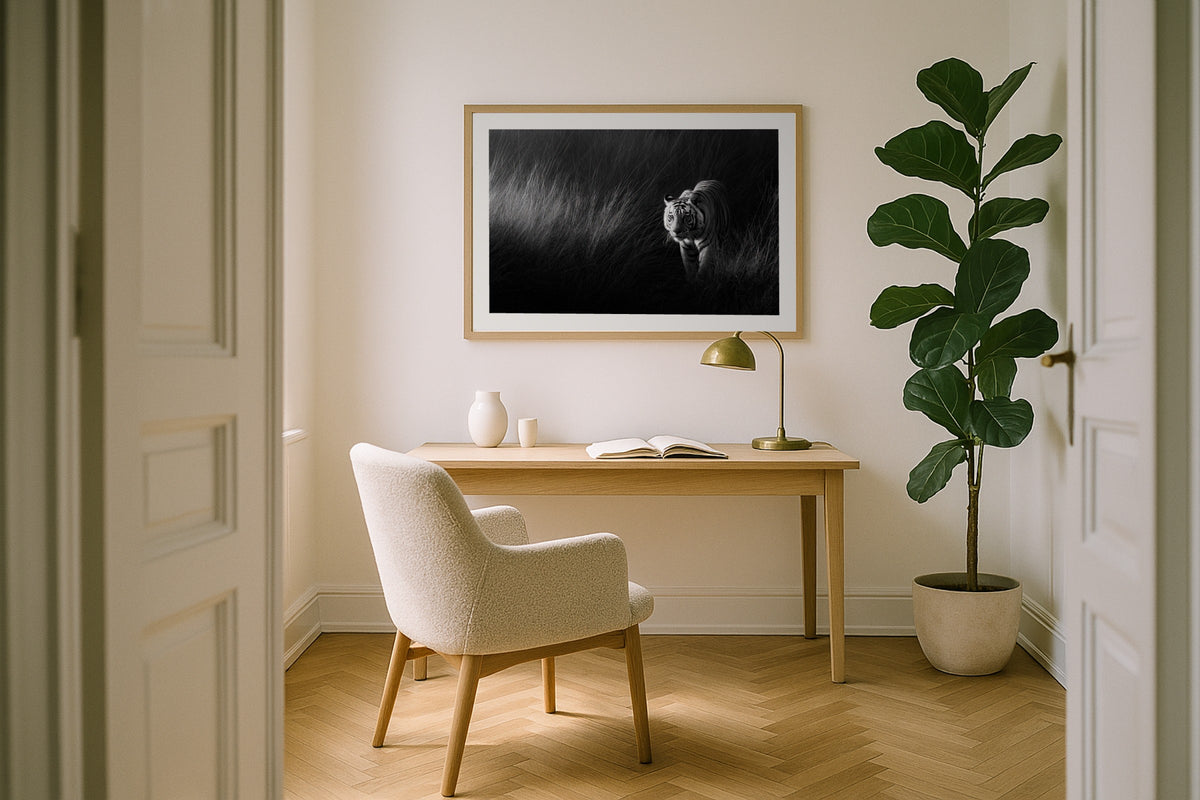 White Tiger wall art print, framed with a white border, in a white desk fiddle fig